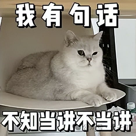 小扎改口不开源,Meta股价暴涨12%