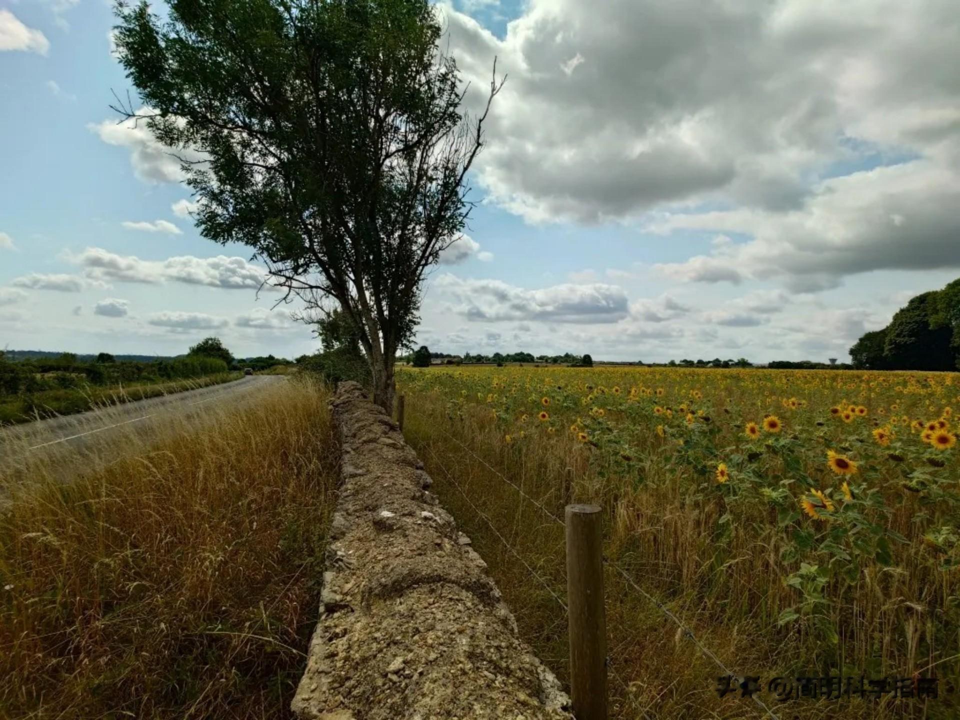 我試圖喜歡索尼手機，但它的過時定位讓人無法喜歡