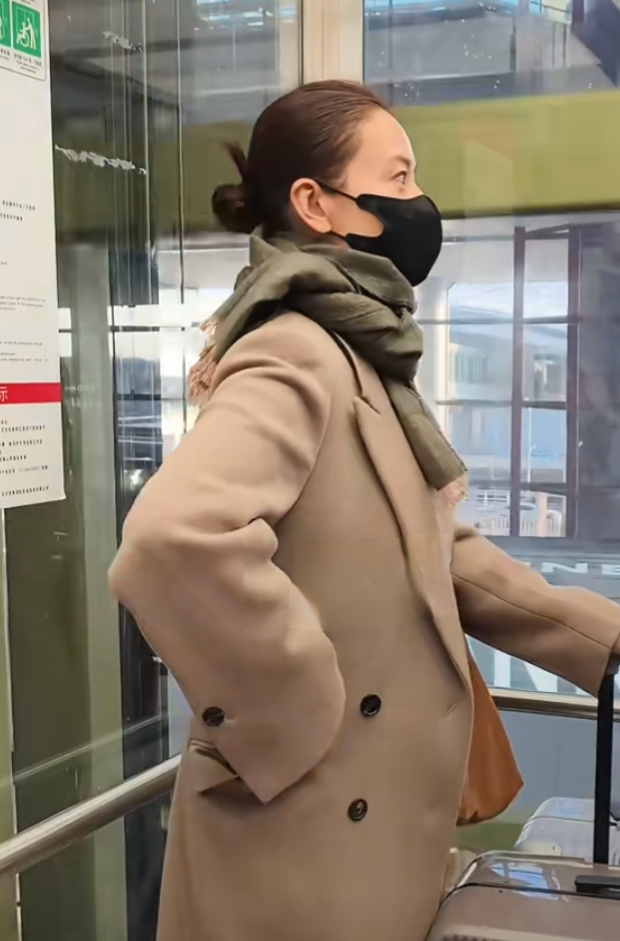 高圆圆机场路透,盘发搭驼色大衣,美貌与气质并存