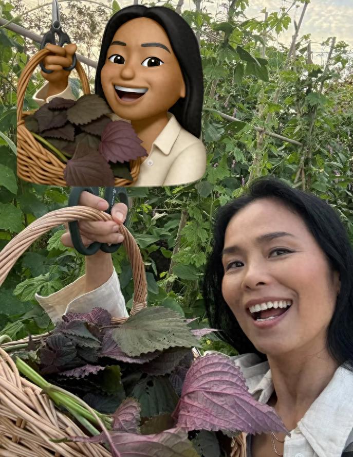 61岁韦唯定居泰国，养水牛种水稻，颜值就像三十岁，晚年生活幸福