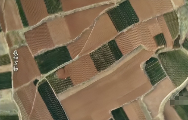 人民网评点名杨幂欧豪!锐评《生万物》,言辞犀利,说到观众心坎