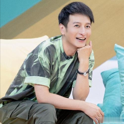 节目停播即失业,从主持人到“精神病”,李维嘉到底经历了什么?