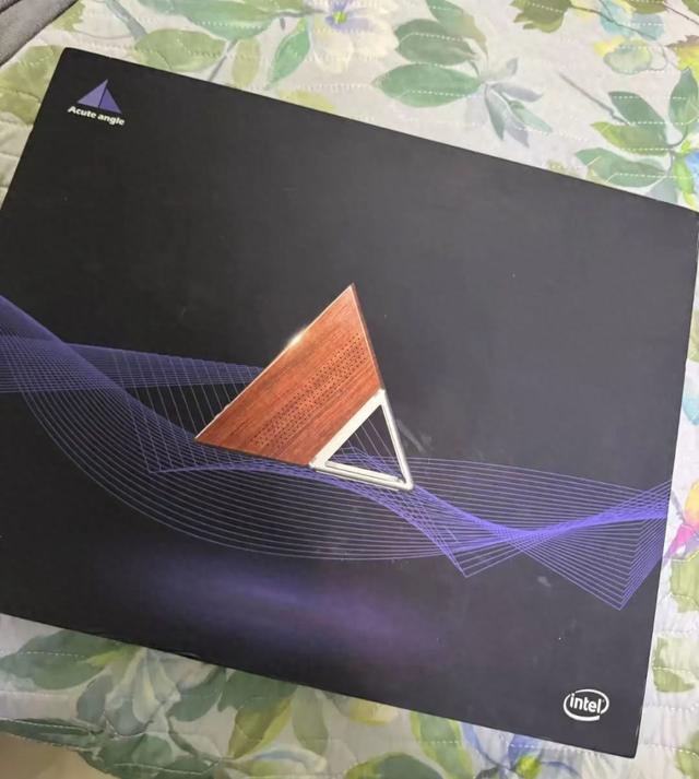 原價5000元的三角形主機，如今才124塊，低功耗能刷飛牛