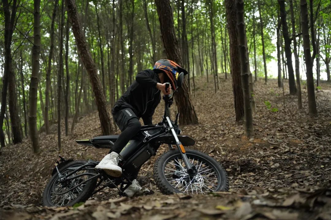 硬核电野横扫都市！森蓝EX1-PRO首发6699元登场