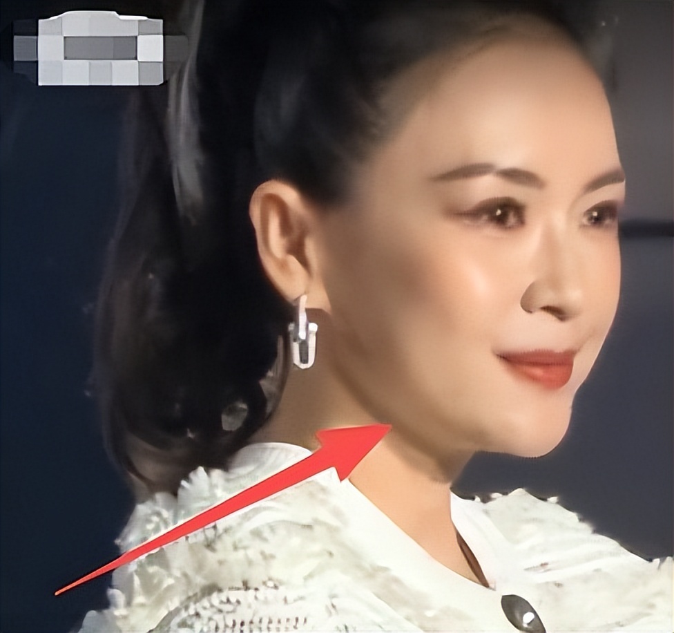 电影之夜太真实！章子怡脸肿又僵，马丽穿深V，秦海璐小肚腩抢镜