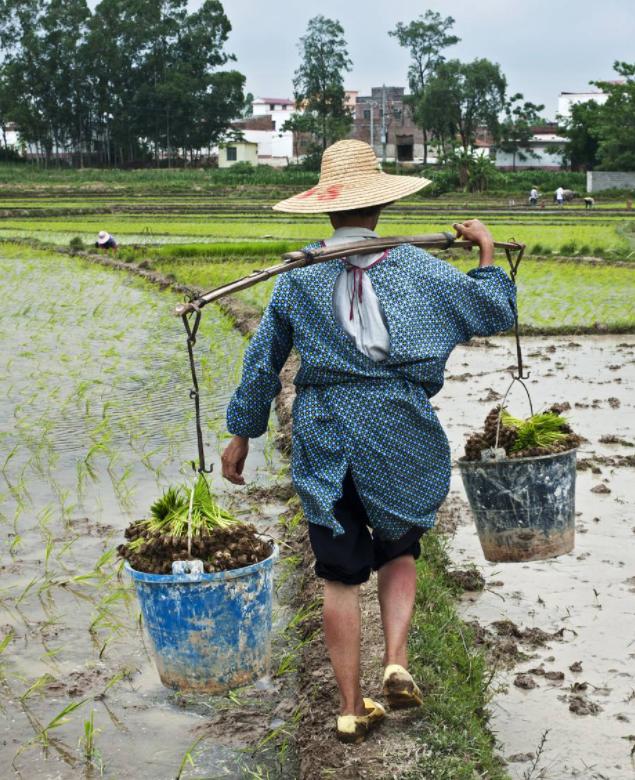“跳楼去世”真相大白仅1个月，朱之文近况曝光，蒋大为没说错