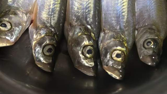 杜新枝晒节日礼物，熊磊在评论区送暖心祝福，郭威被推上风口浪尖