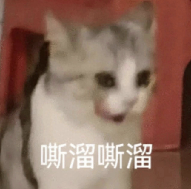 最高9800mAh的小米新品，这次有点意思