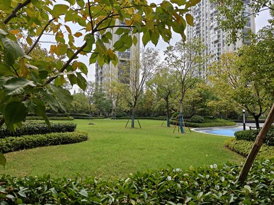 心系天下三星W26評測：折疊屏旗艦的高端典范