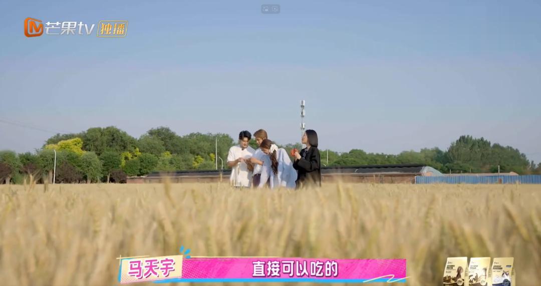 39岁马天宇翻红:养了几百只鸡,每天挑粪、捡蛋,活得太自在了!