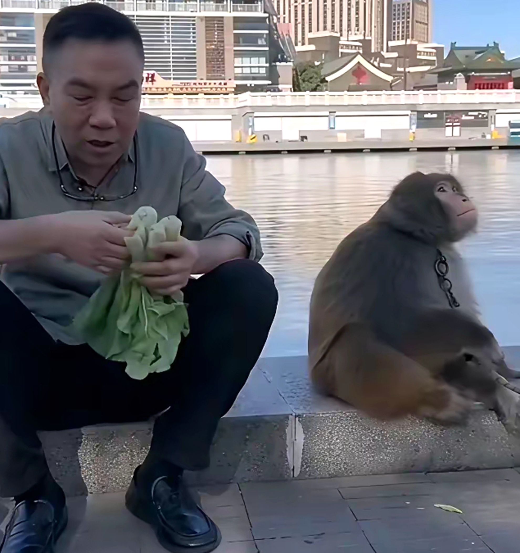 杨议拜师风波:精心包装闹剧,是否在消费观众热情?