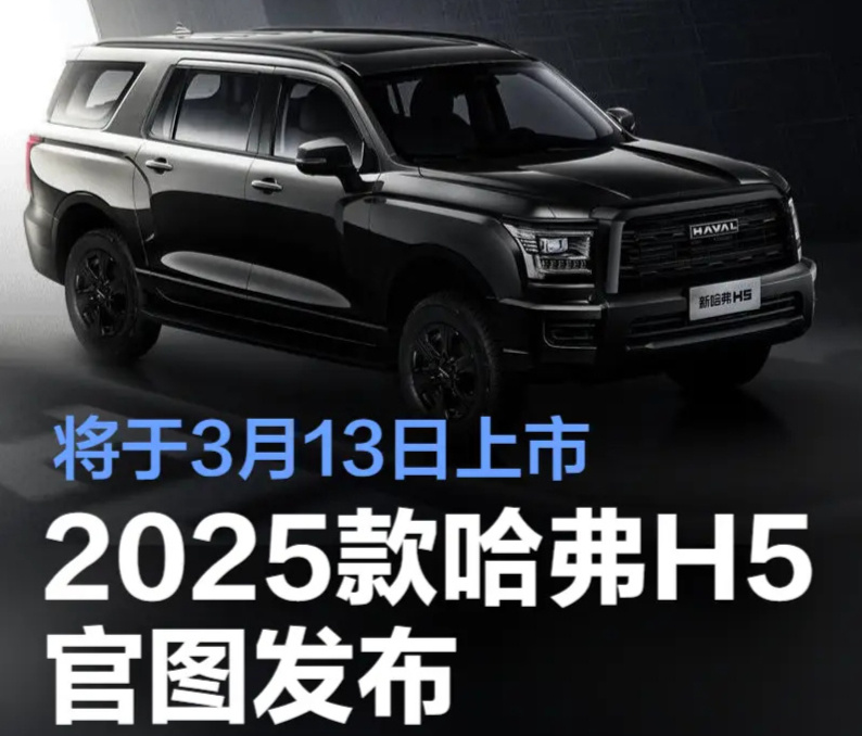 再等3天上市！车长5190mm大型硬派SUV，拥有50万实力仅售10万
