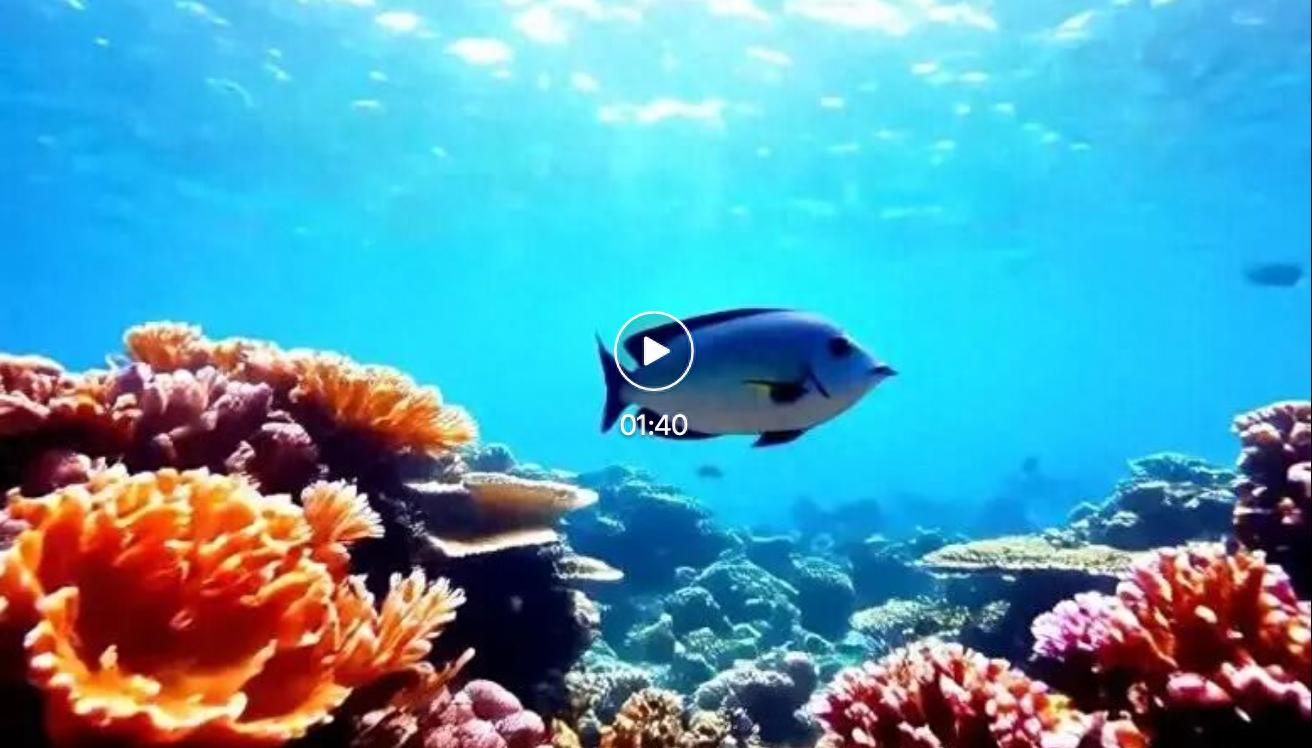 Sora2還在5秒打轉，字節AI生視頻已經4分鐘“起飛”