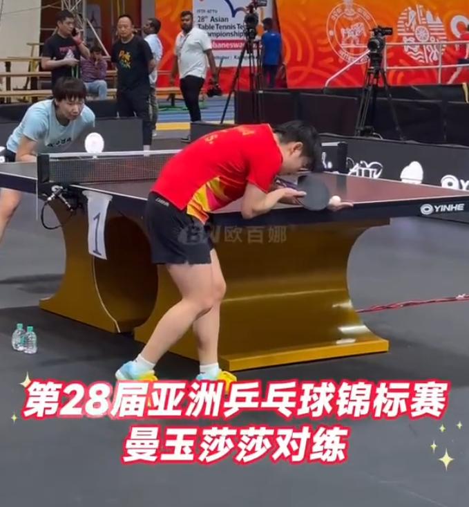 孙颖莎全力备战：与王艺迪/王曼昱对练 正调整克服印度极端天气