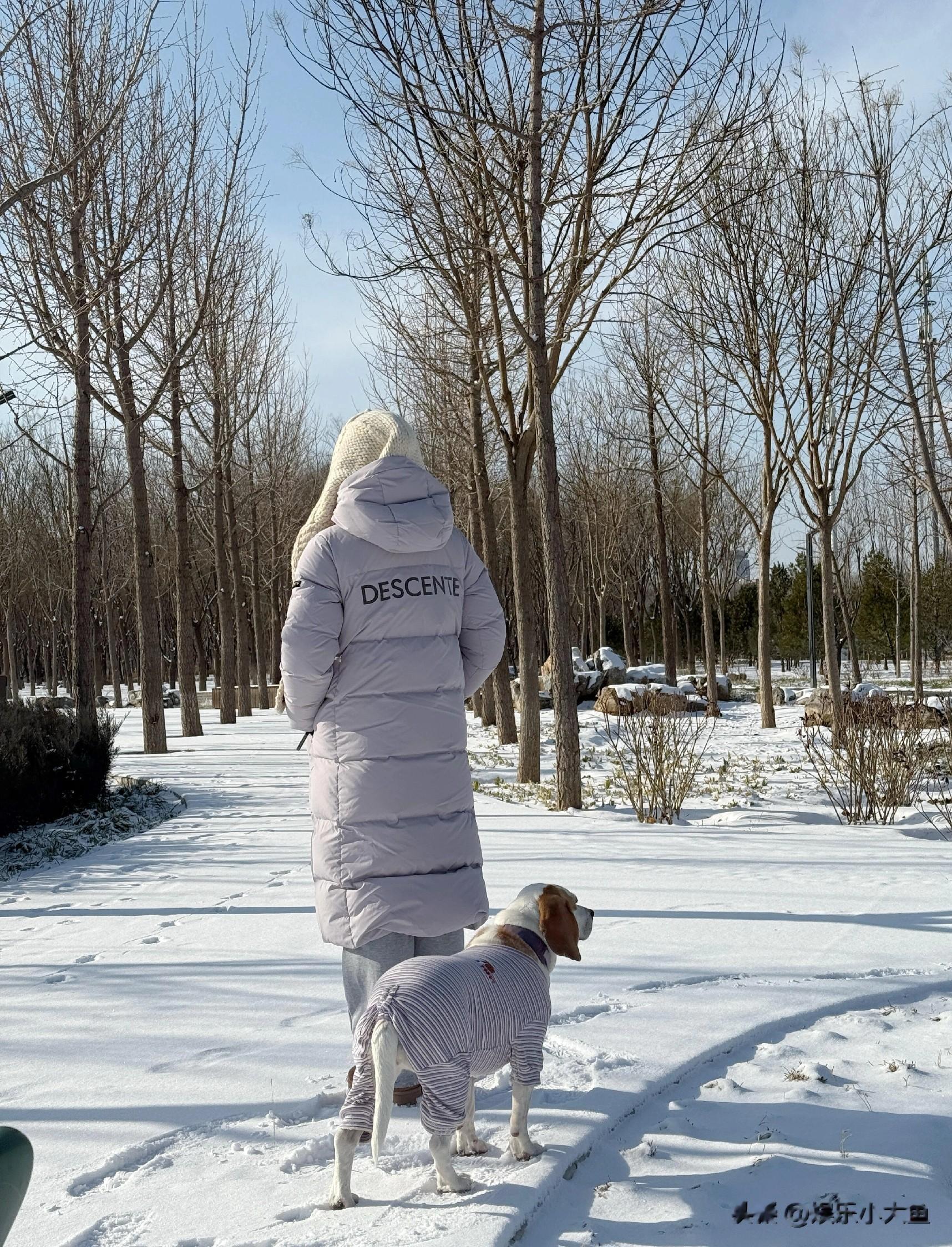 袁姗姗分享北京初雪美照，穿淡紫色长款羽绒服戴针织帽玩雪好可爱