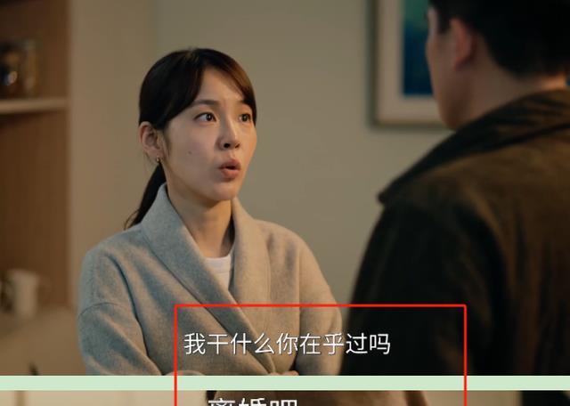 《刑警的日子》25集大结局:刘子明没离婚、方婷婷出国,刘父失忆