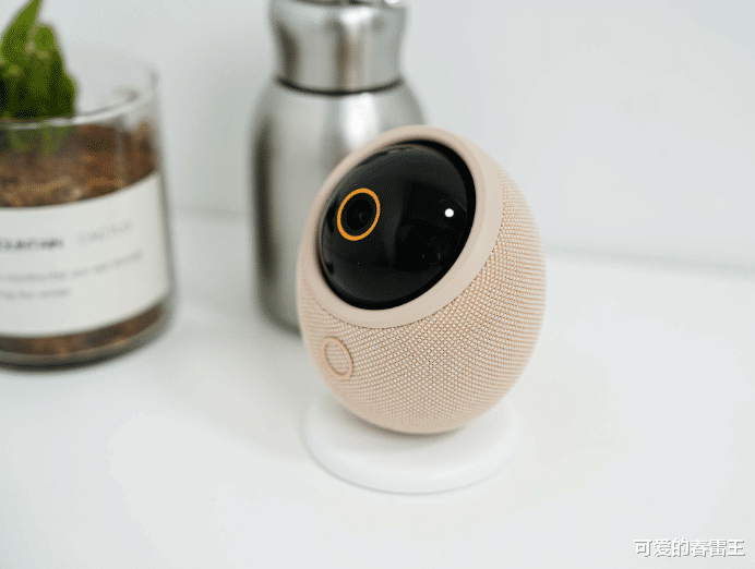 一呼即应!海雀雀蛋Max:能对话的4K摄像头成了我家新成员