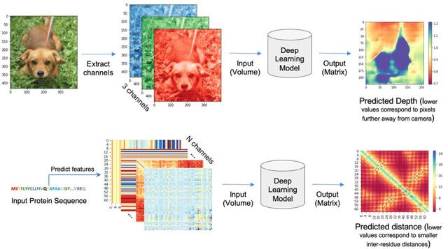癌癥有救了？AI設計藥物開啟人體試驗，DeepMind「秘密武器」引爆革命