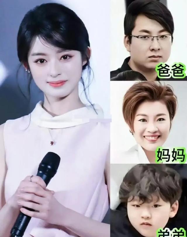 被疑小官巨贪、超生二胎、三代还宗,230万珠宝又揭内娱天龙人?