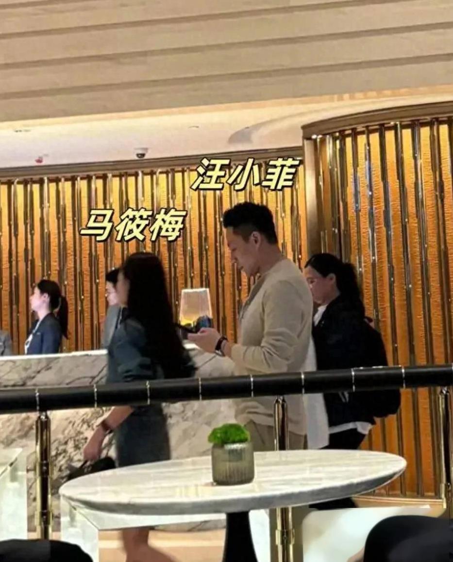 小玥儿胳膊曝光，汪小菲香港四季酒店被拍事件引热议不断