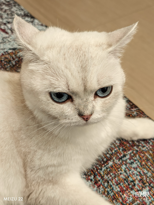 魅族22測評：這才是「綜合體驗旗艦」該有的樣子！