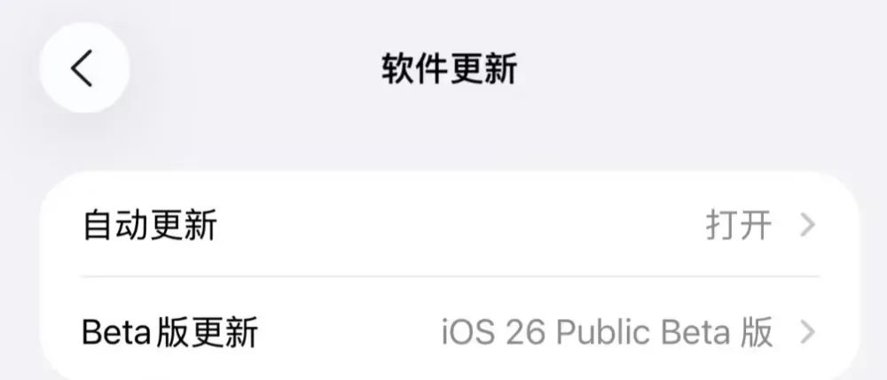 蘋果 真有無邊框iPhone
