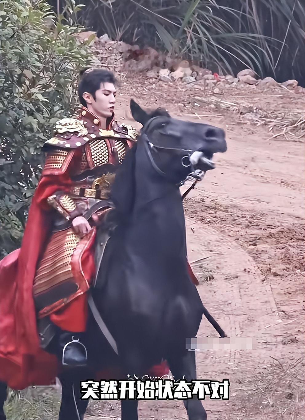 钱再多有什么用！29岁陈哲远的现状，给所有年轻人提了醒