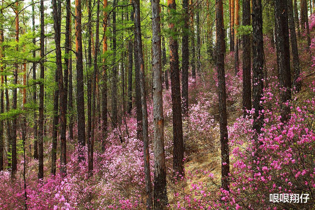 吉星高照五月天,祥云绕福门,四大属相,贵人引路财源广进