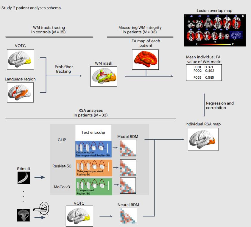 北大AI研究顛覆認知：我們看到的不是真實，是被語言潤色過的現實