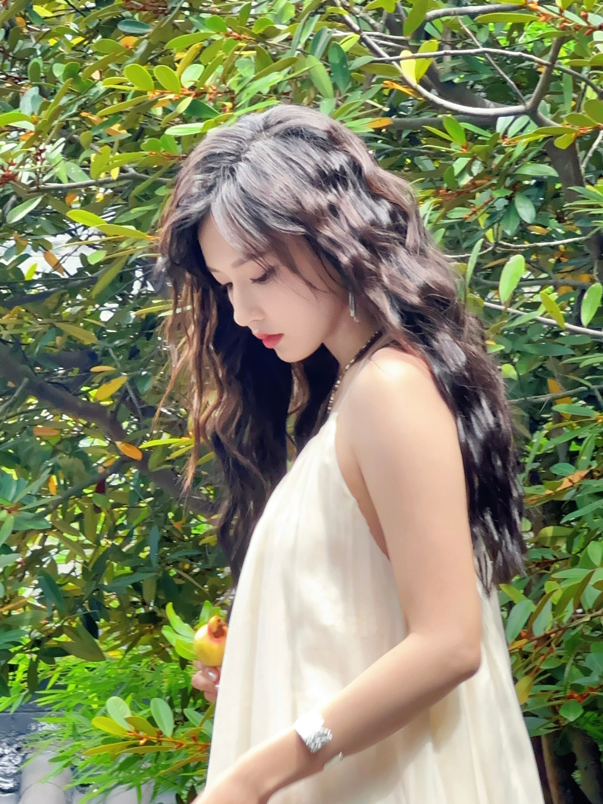 女明星,程潇,性感的优雅