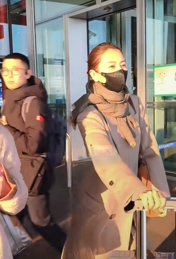 高圆圆机场路透,盘发搭驼色大衣,美貌与气质并存