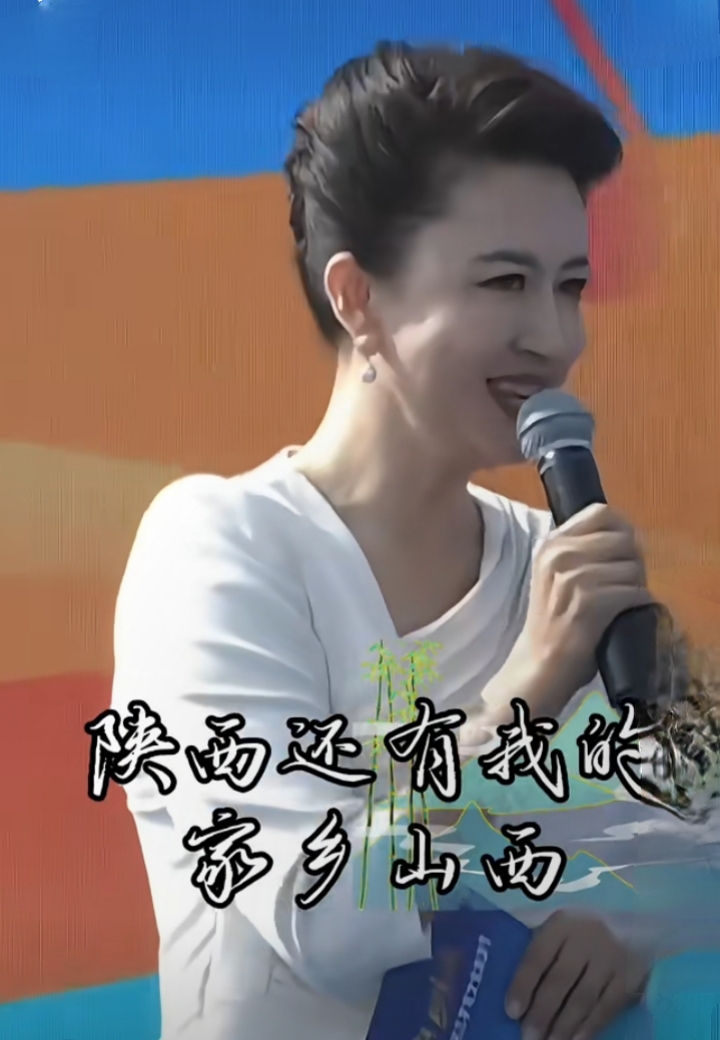 张蕾聊黄河流域,白裙盘发造型,美貌与气质并存