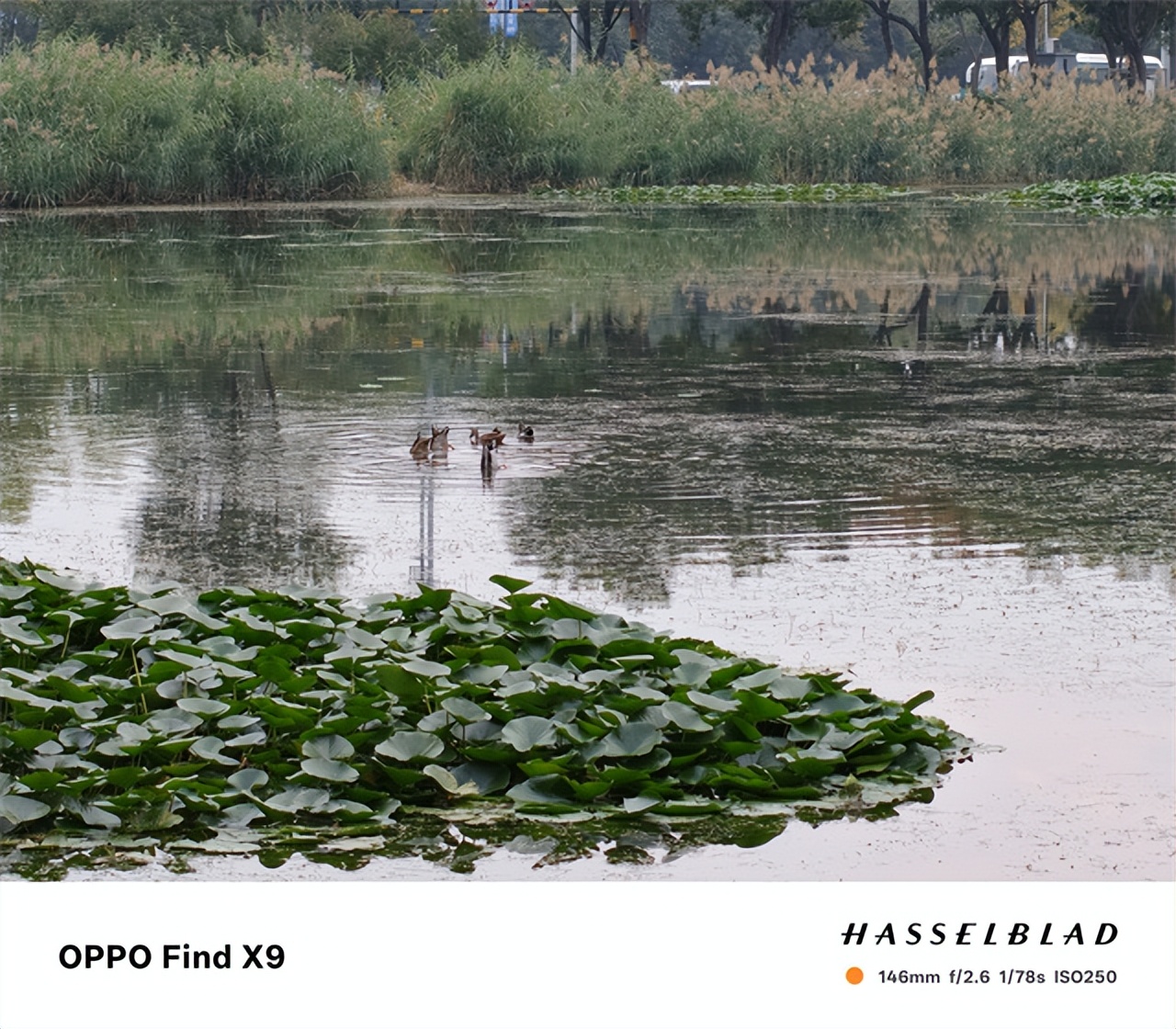 OPPO Find X9超越Pro版 最強標準版旅拍神器驚艷四座