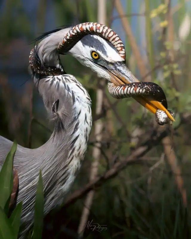 30张活久未见的照片:迈克尔杰克逊生前要演蝙蝠侠!定妆照都拍了