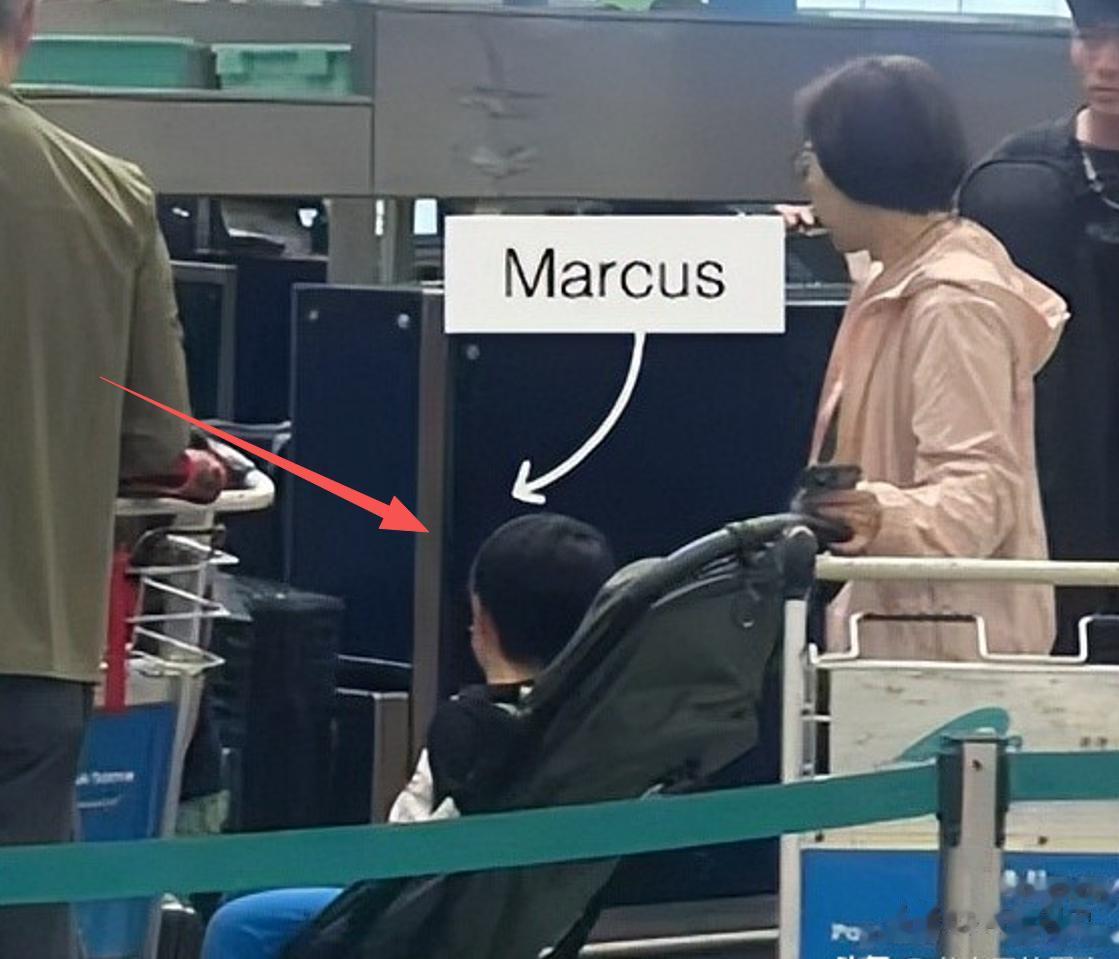 张柏芝携三子飞澳洲，谢振轩一脸严肃，颜值超高，小儿子罕见露面