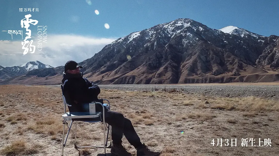 金熊猫奖,专治意难平