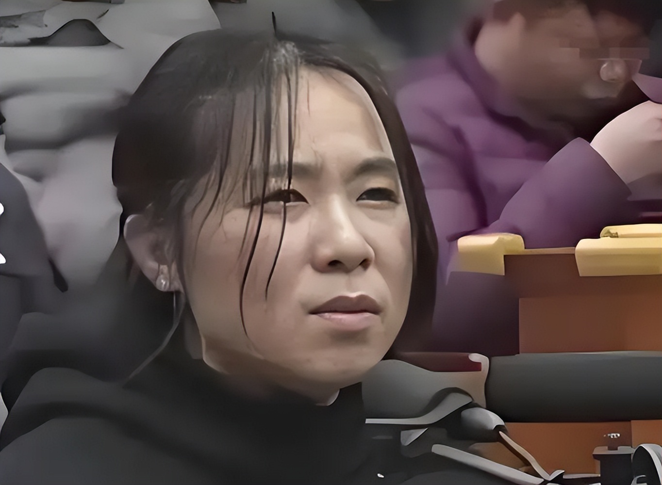 林生斌现状：定居悉尼富人区，有儿有女，现任是之前公司员工