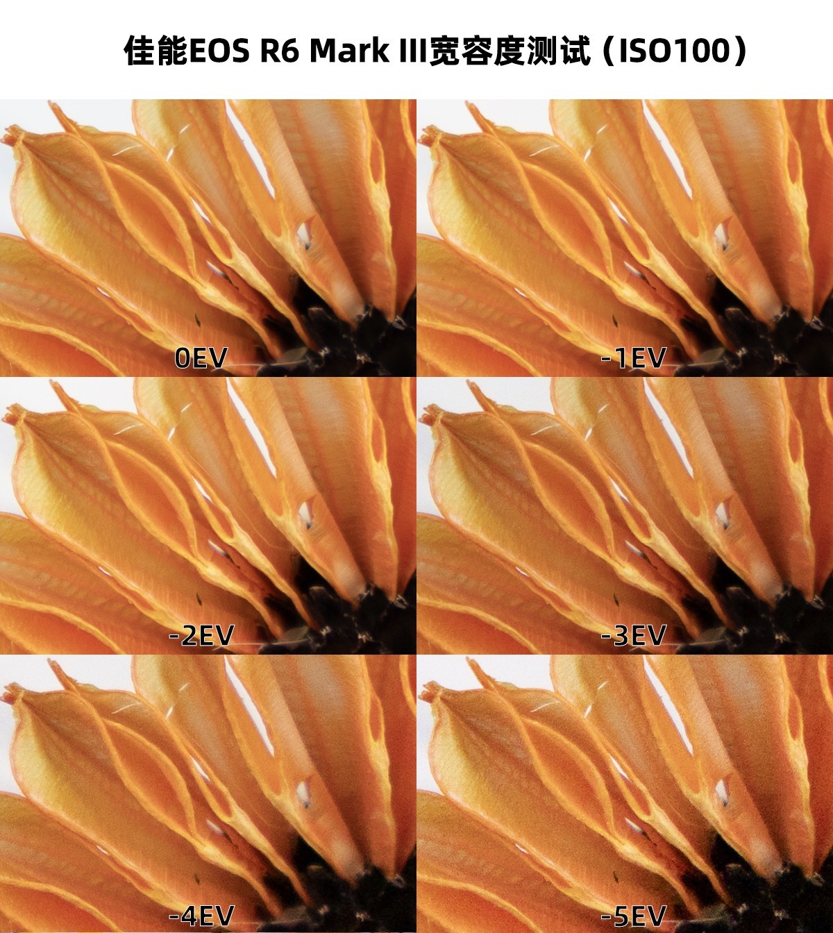 3250萬像素+7K視頻拍攝的全能水桶機 佳能EOS R6 Mark III評測