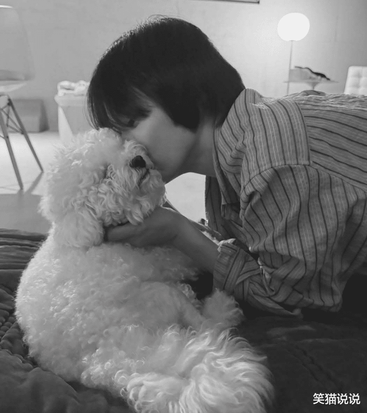 宋慧乔晒回家后第一波照片：拥抱爱犬好温馨，亲吻Ruby好宠溺
