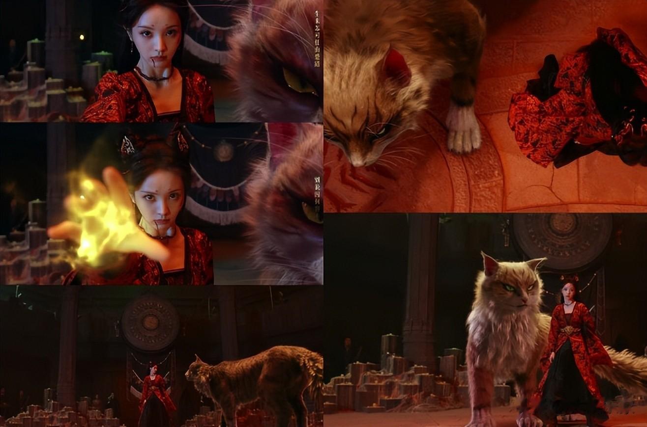 田曦薇遭许凯劈腿赵晴丑闻拖累，她3年前也因白敬亭错失爆红机会