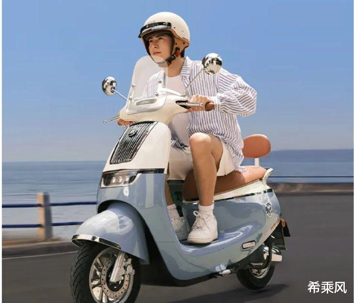 爱玛Q7智行版，性价比之选？