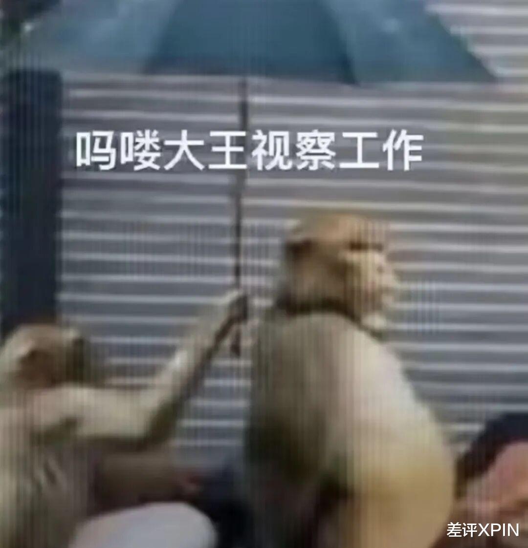 越來越擠的云棲大會，越來越 AI 的阿里巴巴