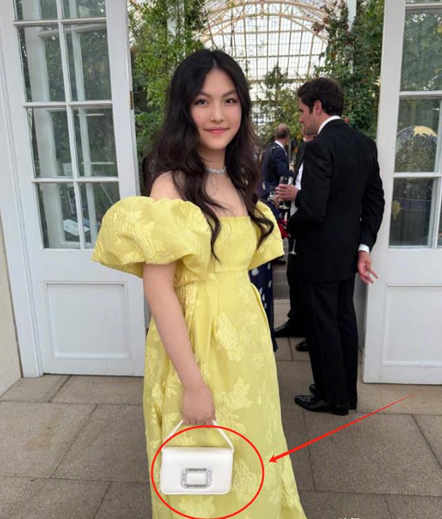 李湘带女儿面见英国皇室,对王后赔笑遭白眼,连发四条动态被群嘲