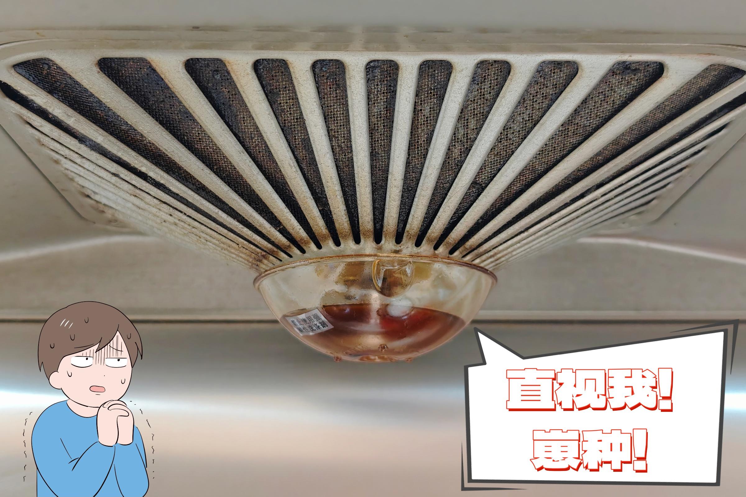 给家里换上米家净烟机Pro后，年夜饭敞开门炒！不呛人！