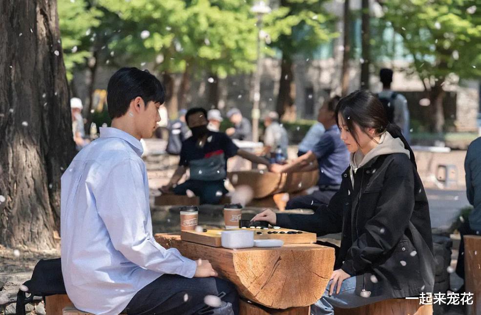 好评如潮的4部韩剧,全程高能看点十足,你看过几部呢?