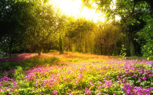 我做方案成老公白月光嫁衣