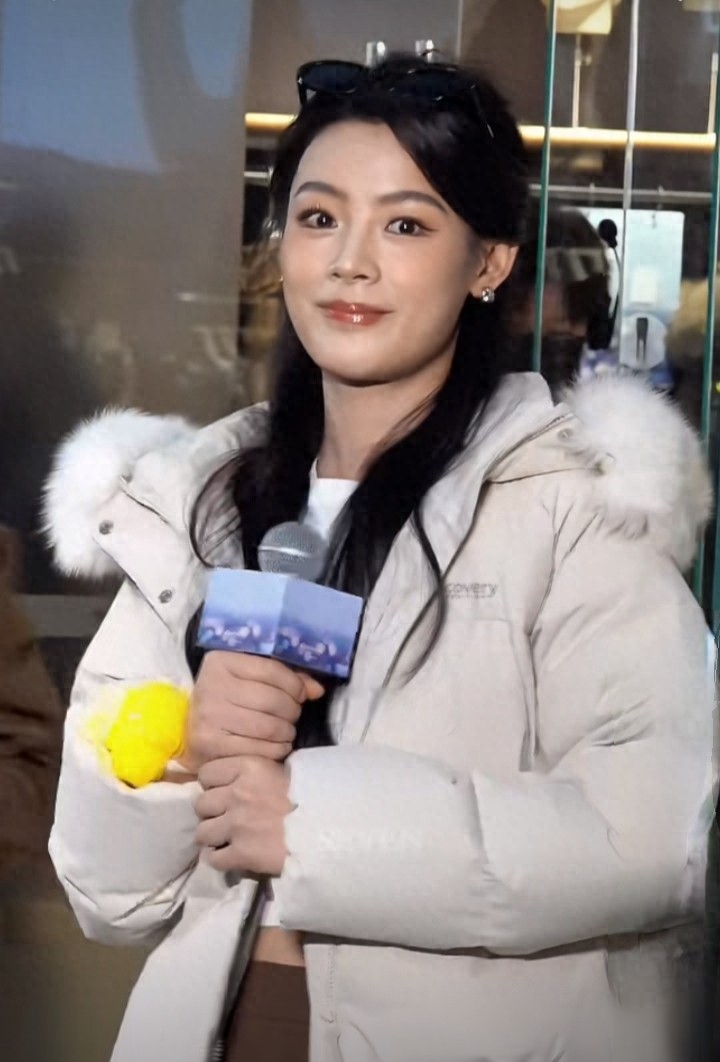 陈丽君亮相Discovery活动 浅灰羽绒服配长裙，美得好高级