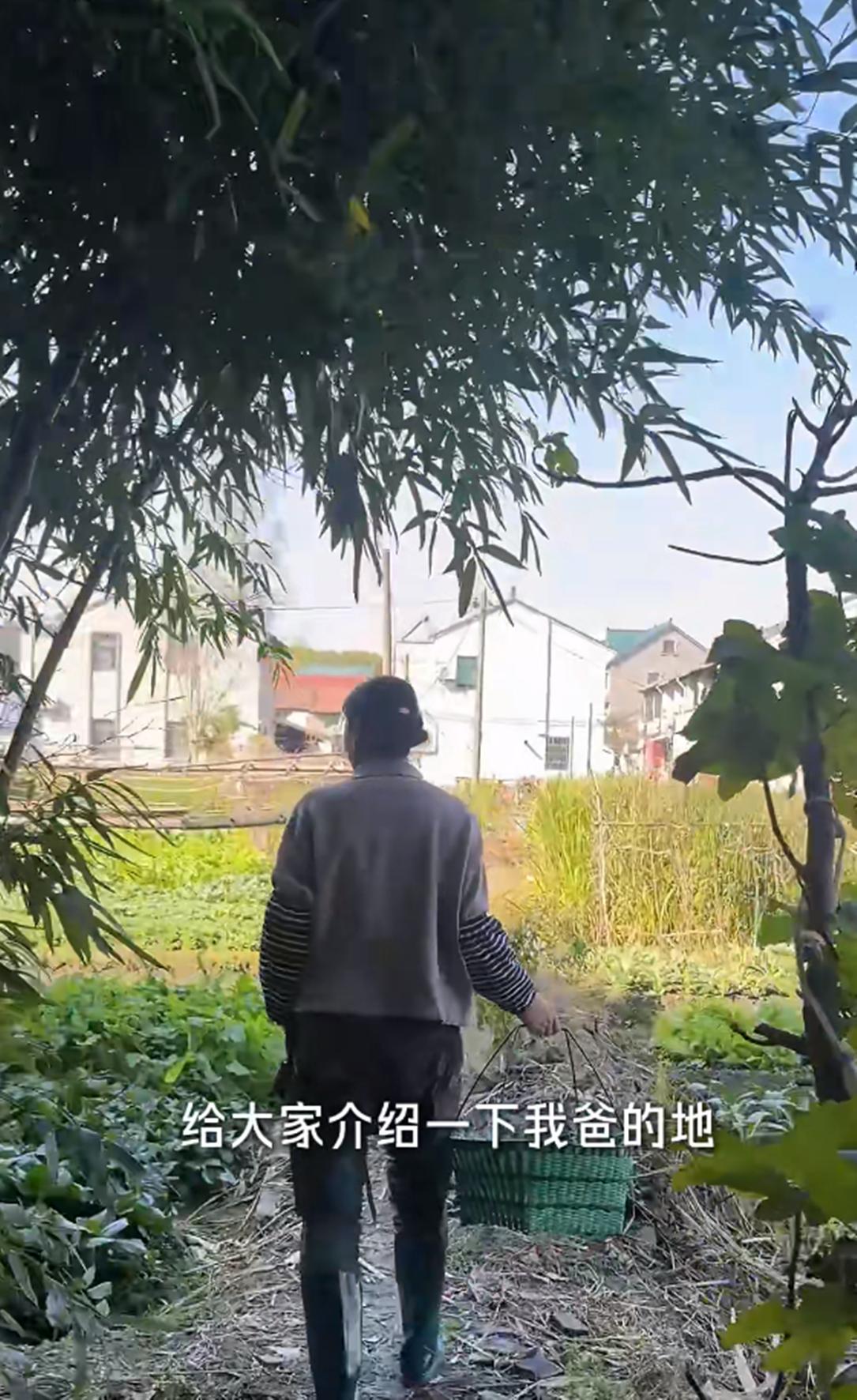 44岁朱丹回金华老家！穿水靴割茭白，吃大碗猪油面， 妈妈罕见露面