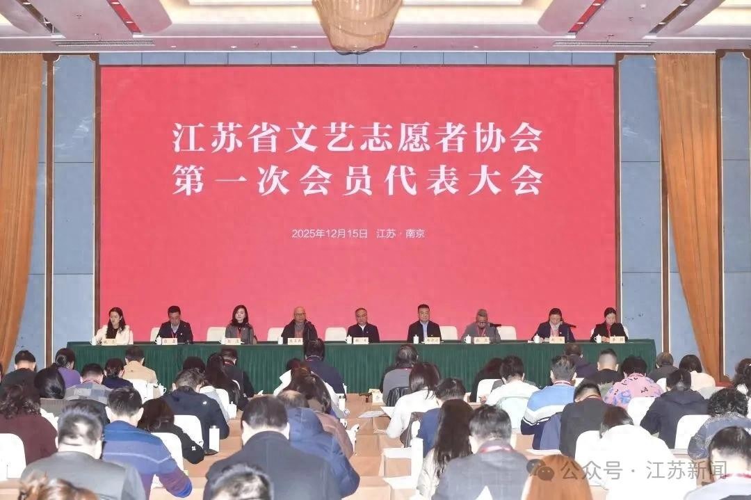 海清、朱亚文,当选新职