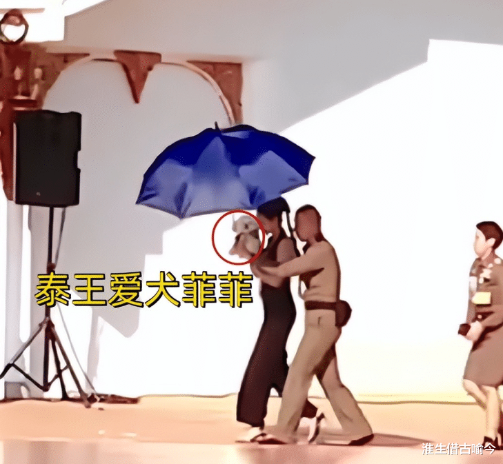 泰王新宠巴帕颂整容脸明显，抱着玛哈爱犬出宫，苏提达都斗不过她